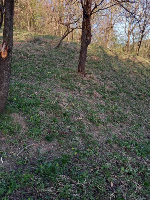 Oportunitate! Teren de vanzare