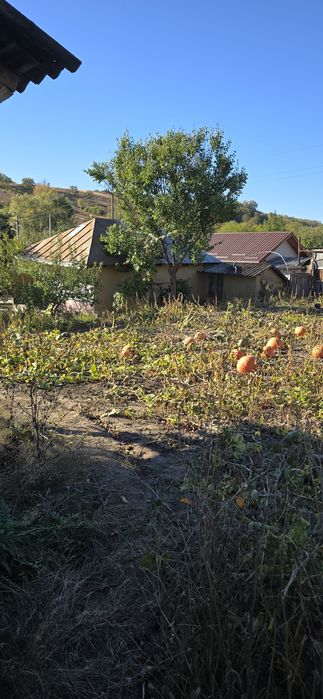 Casa in frumușelu la 6.5km de podu turcului