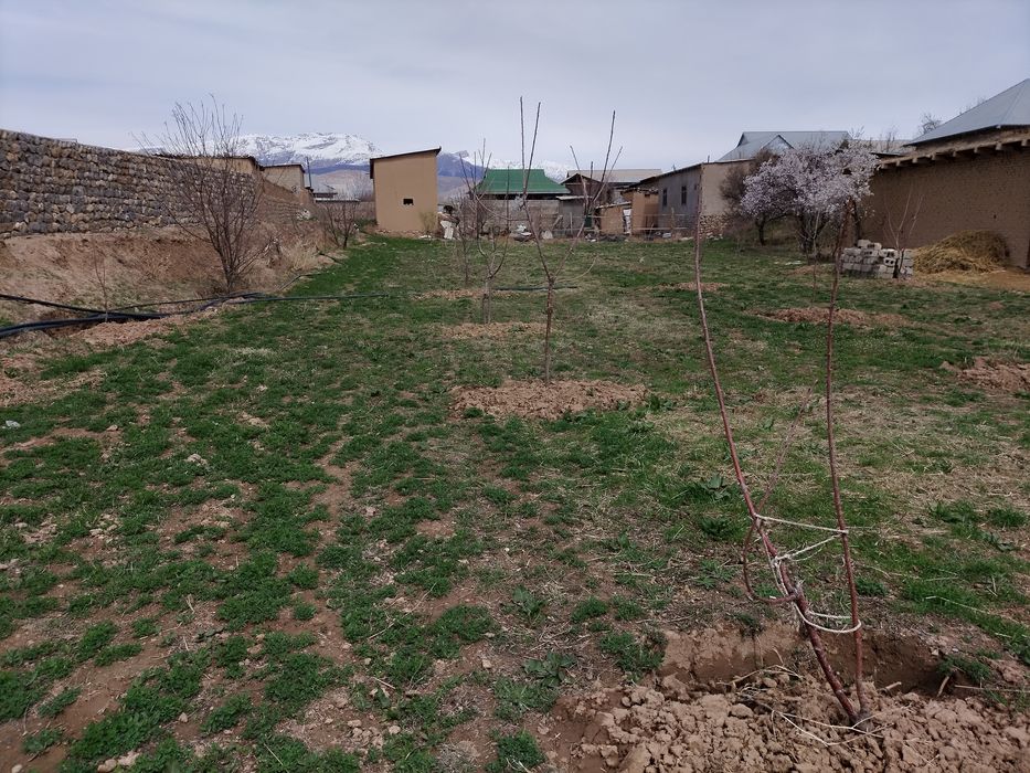 Бошработ махалласи 55-мактаб ёнидан 0.15га ер сотилади.