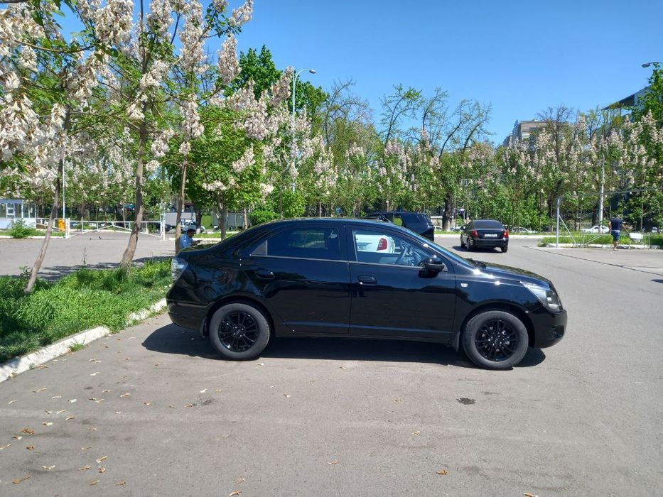 Cobalt Midnight 2025