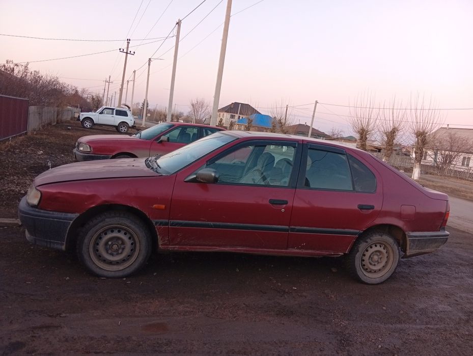 Продам Машина Ниссан примера  1