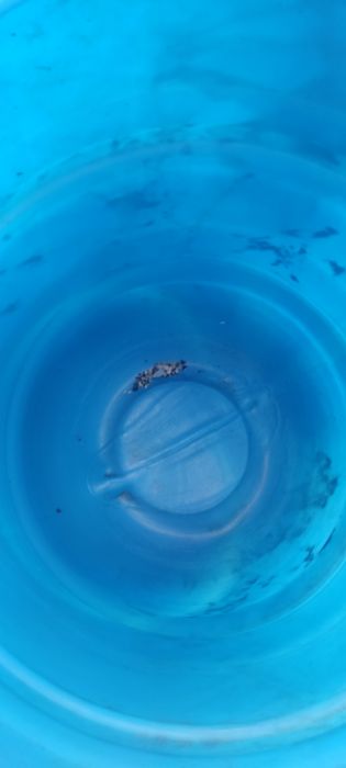 Продам бочки пластиковые