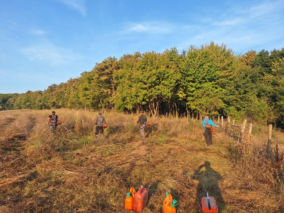 Curațăm pășuni și terenuri împădurite