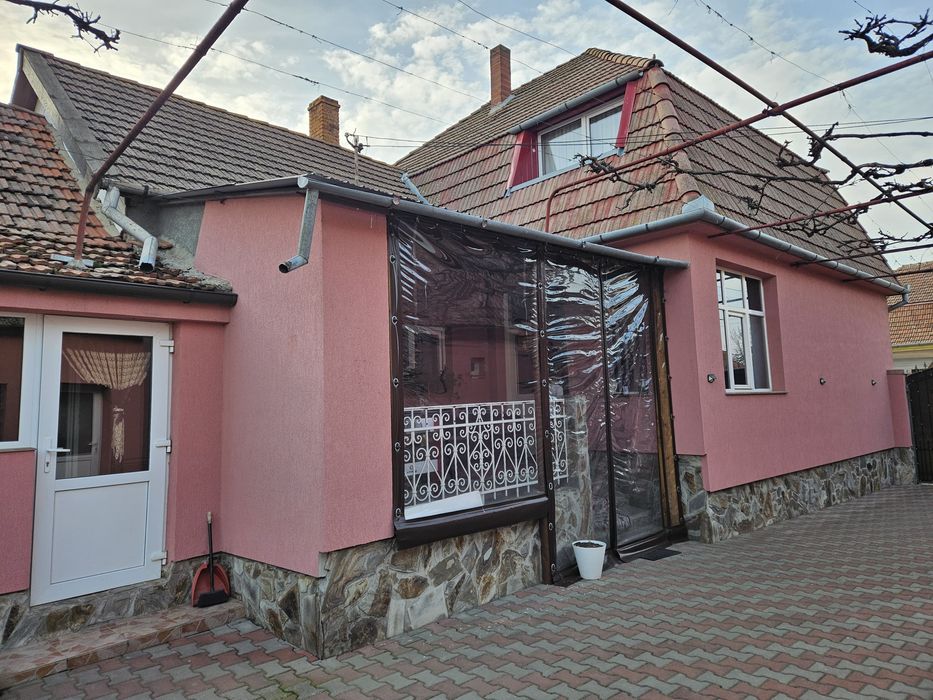 Casa mare cu spatiu comercial in centrul satului Tarian