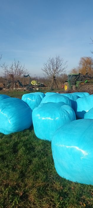 Baloti infoliati lucerna