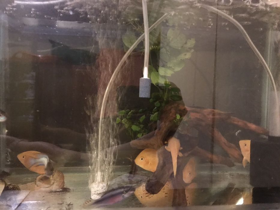 Любимым детям живой уголок