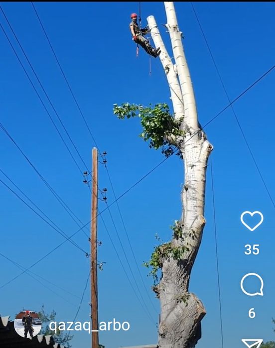 Спил подрезка аварийных деревьев.