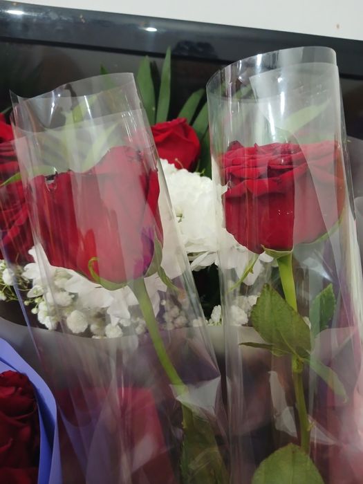 Продам цветы свежие