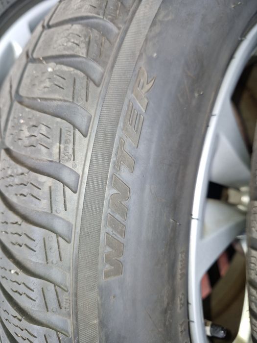 Set jante iarna BMW X3,X4