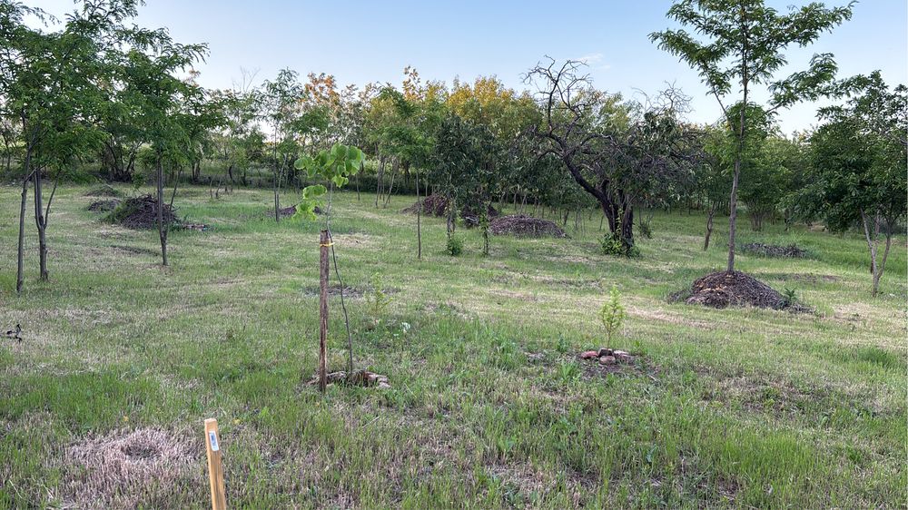 Titlu: Teren intravilan 1.700 mp + extravilan 17.800 mp – Valea Călugărească