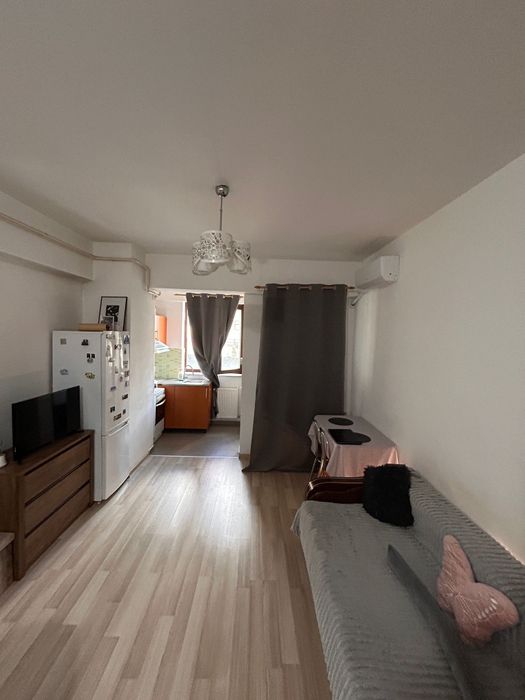 Apartament o camera Concept Moara de Foc