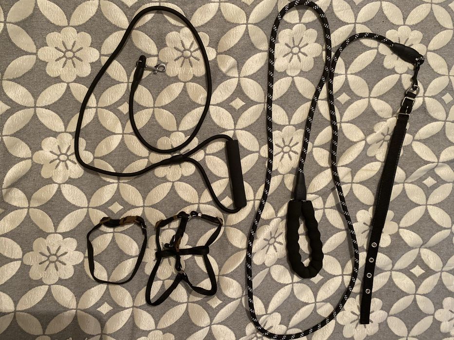 Ошейник+поводок для мелких и средних и крупных пород