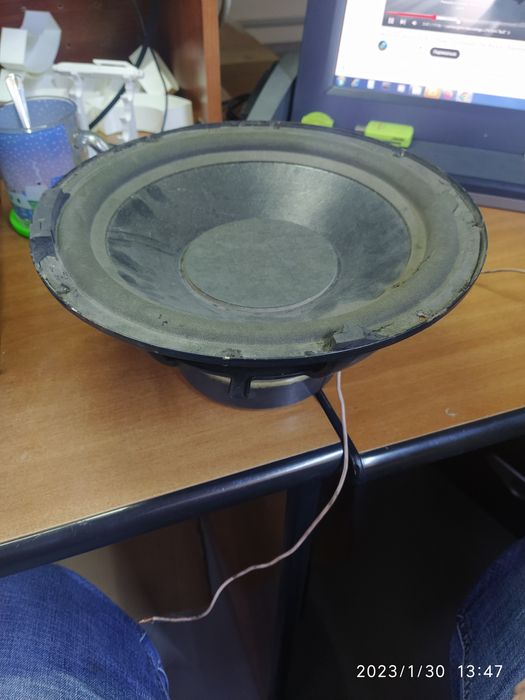 Динамик 30см 10дюимов