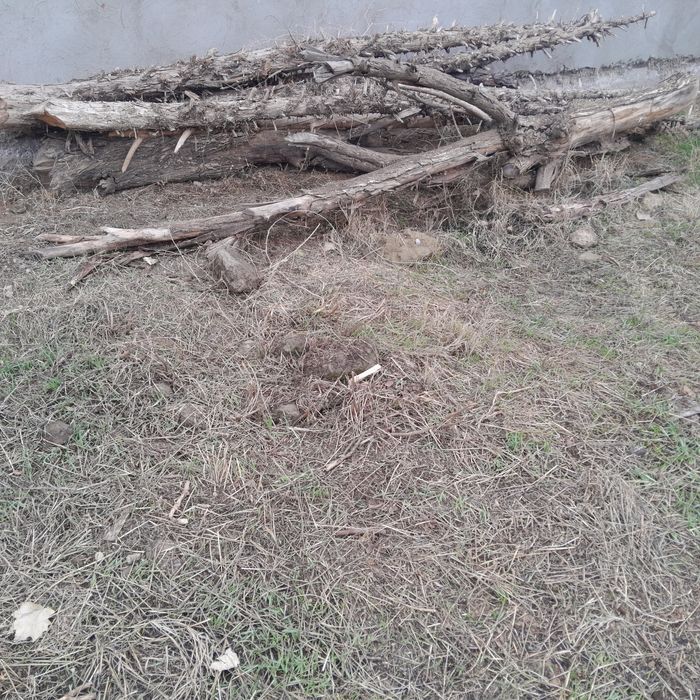 Курик утинлар сотилади