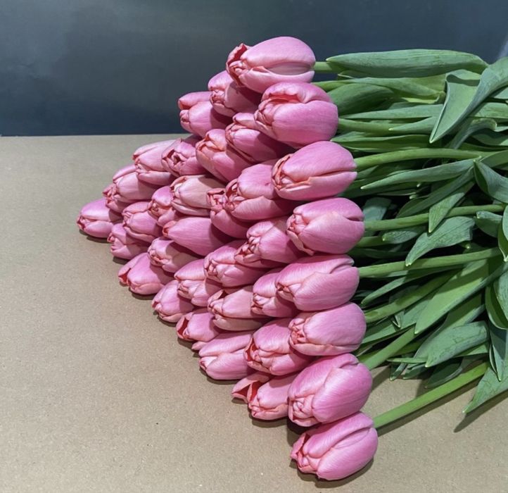 Предзаказ на тюльпаны
