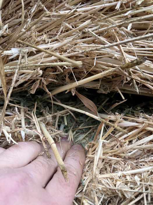 Vând Baloți Rotunzi de Lucernă, Calitate bună