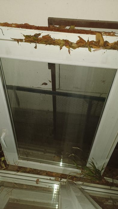 Geamuri termopan/PVC