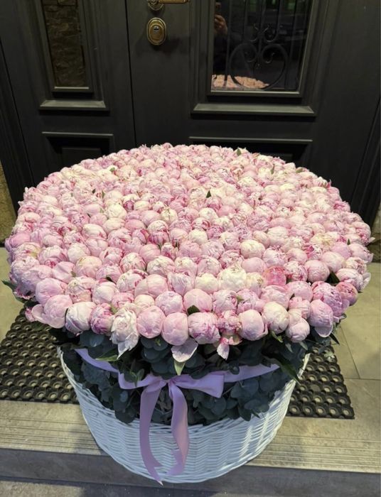 Пионы, розы голландские сорта