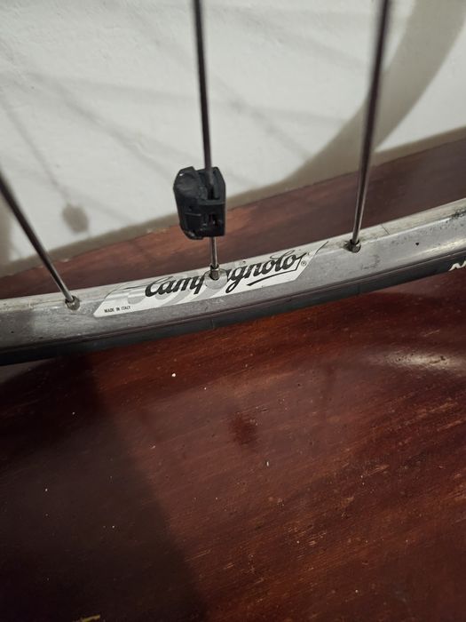 Капла Кампаньоло  28 цола