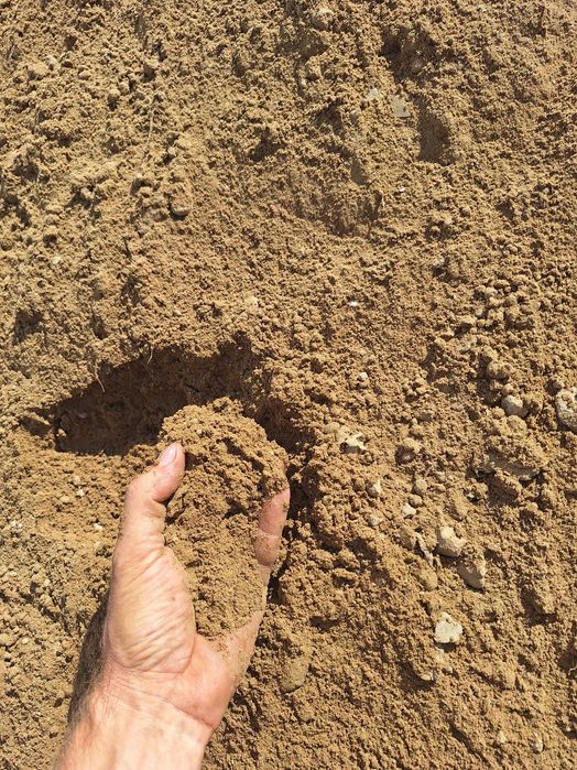 Pământ galben nisipos pentru gazon calitatea 1