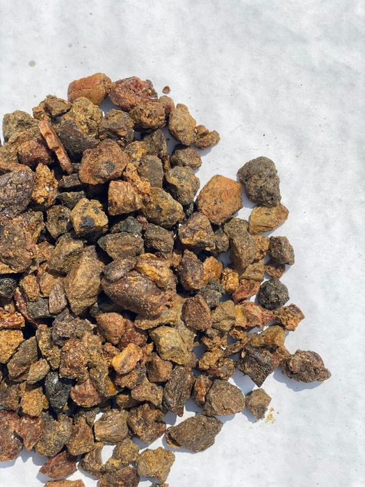 Propolis  de la propria  stupina