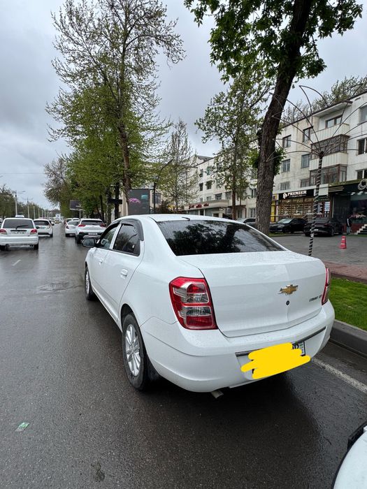 Cobalt 2025 monitorli