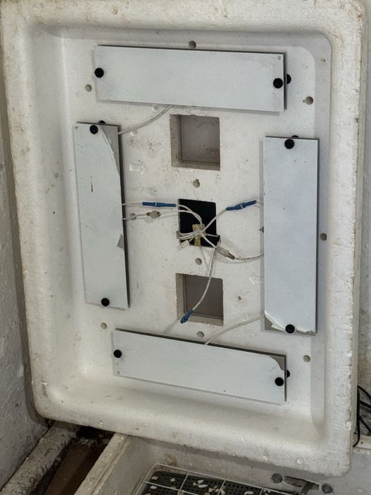 инкубатор несушка