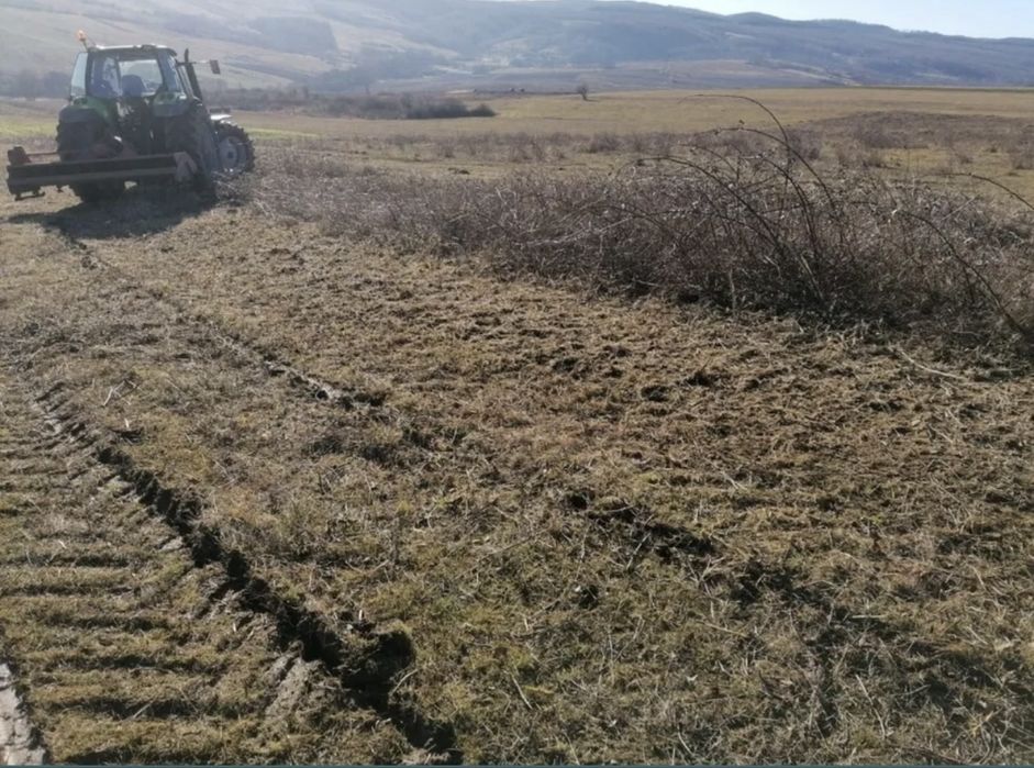 Curatare defrisare terenuri tocat spini