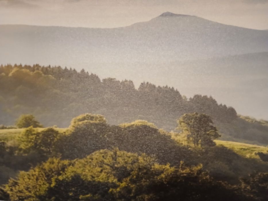 Картины  для интерьера