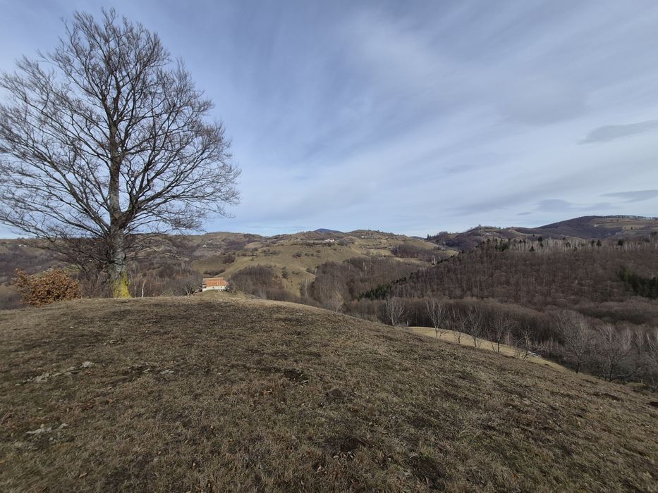 Vând teren+gospodărie