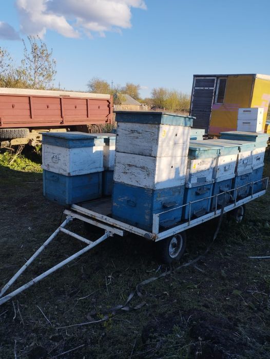 Прицеп с ульями для легкового автомобиля