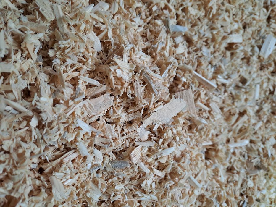 Апилка Бесплатно