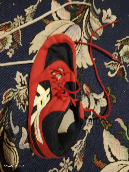 Барцовка вольная борьба