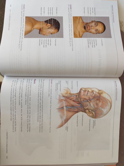 Пропедевтика на вътрешни болести, Physical examination