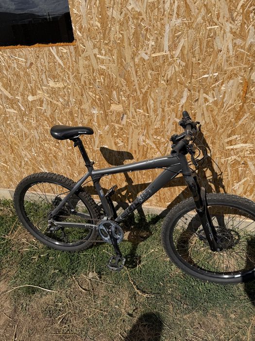 mtb Bulls  Bulls