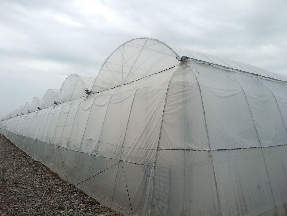 Продаётся теплица