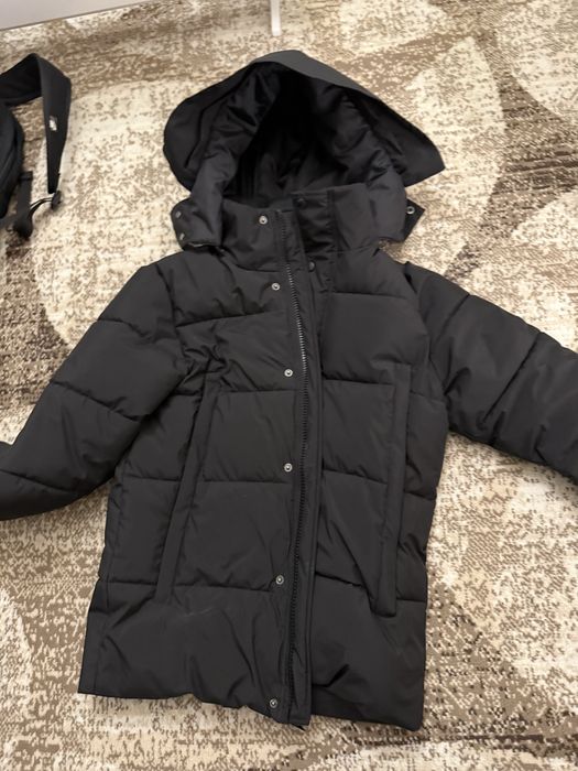 Яке canada goose