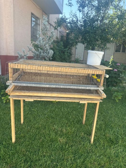 Бөдене Перепёлка