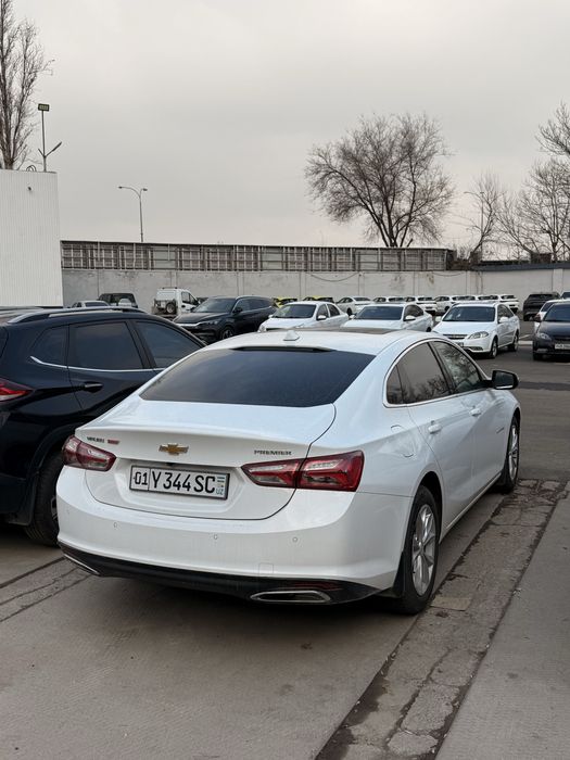 Malibu 2 premier toza 2022 full