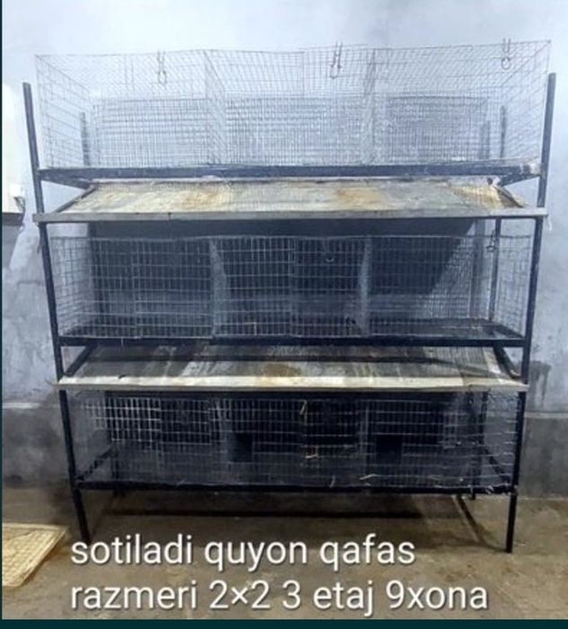 Quyon qafast sotiladi sunatiga otiberaman