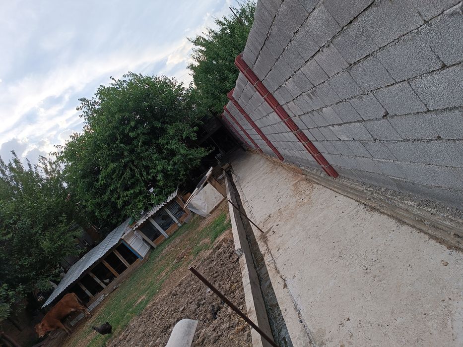 Srochna Qibray Krupiski mahallada 10 dorixona hovli sotiladi