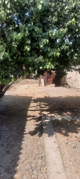 Дом продажа дом продажа