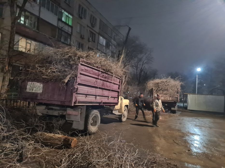 Спиль ,Обрезка Деревьев