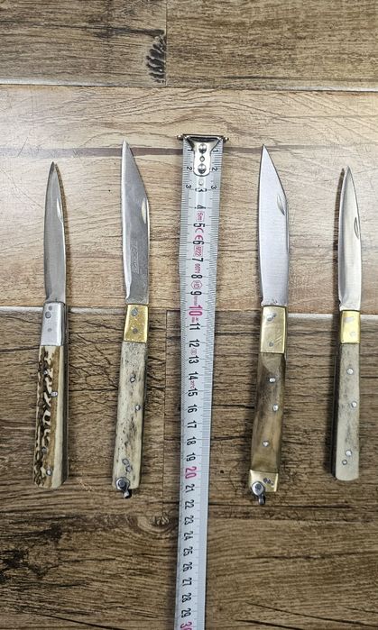 Bricege corn de cerb