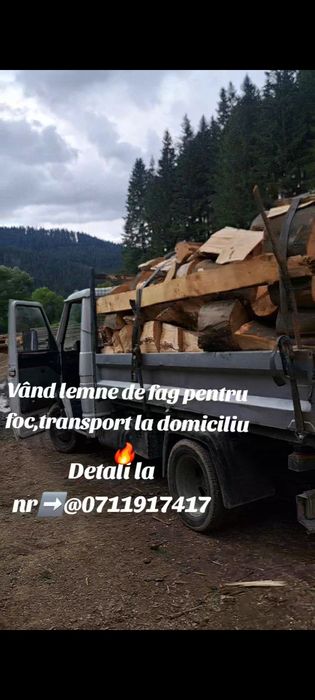 Vând lemne de esență tare FAG