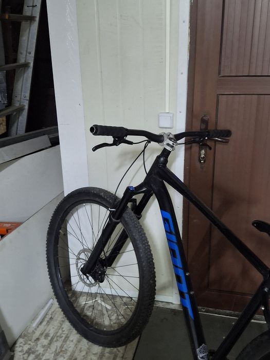 Giant Talon 1 2021