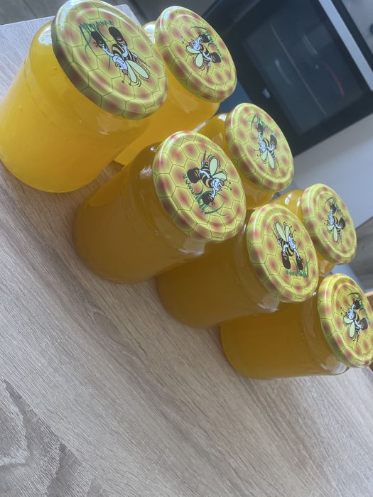 Vand miere de albina Floarea Soarelui