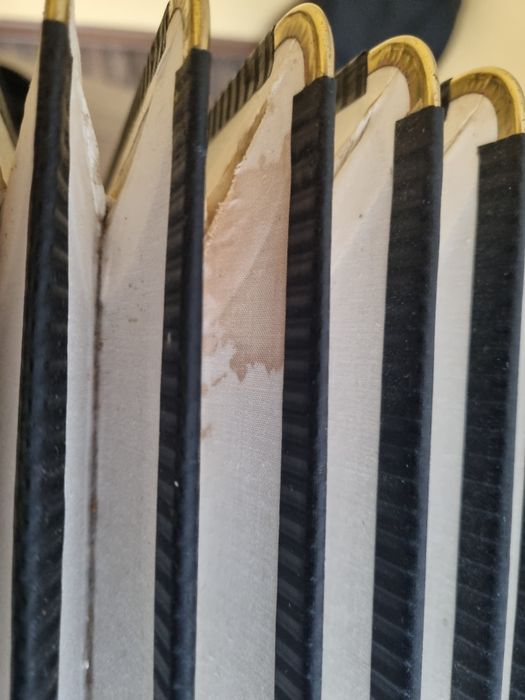 Vând acordeon Hohner Atlantic IV Deluxe