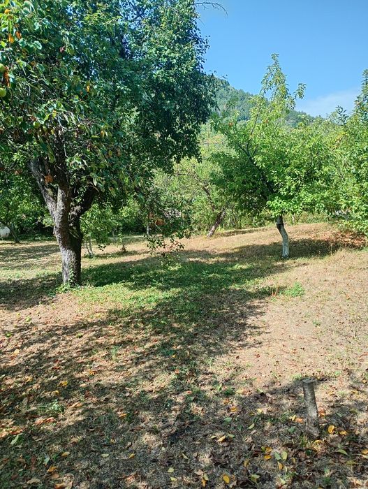 Продавам парцел в с.Типченица об.Враца