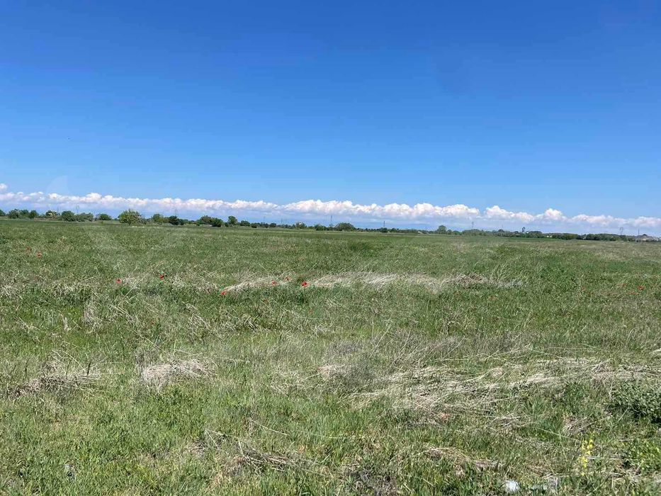 Продава се Парцел в с. Крумово, Област Пловдив - 6299 кв.м за 30 €/кв.м - Снимка #2